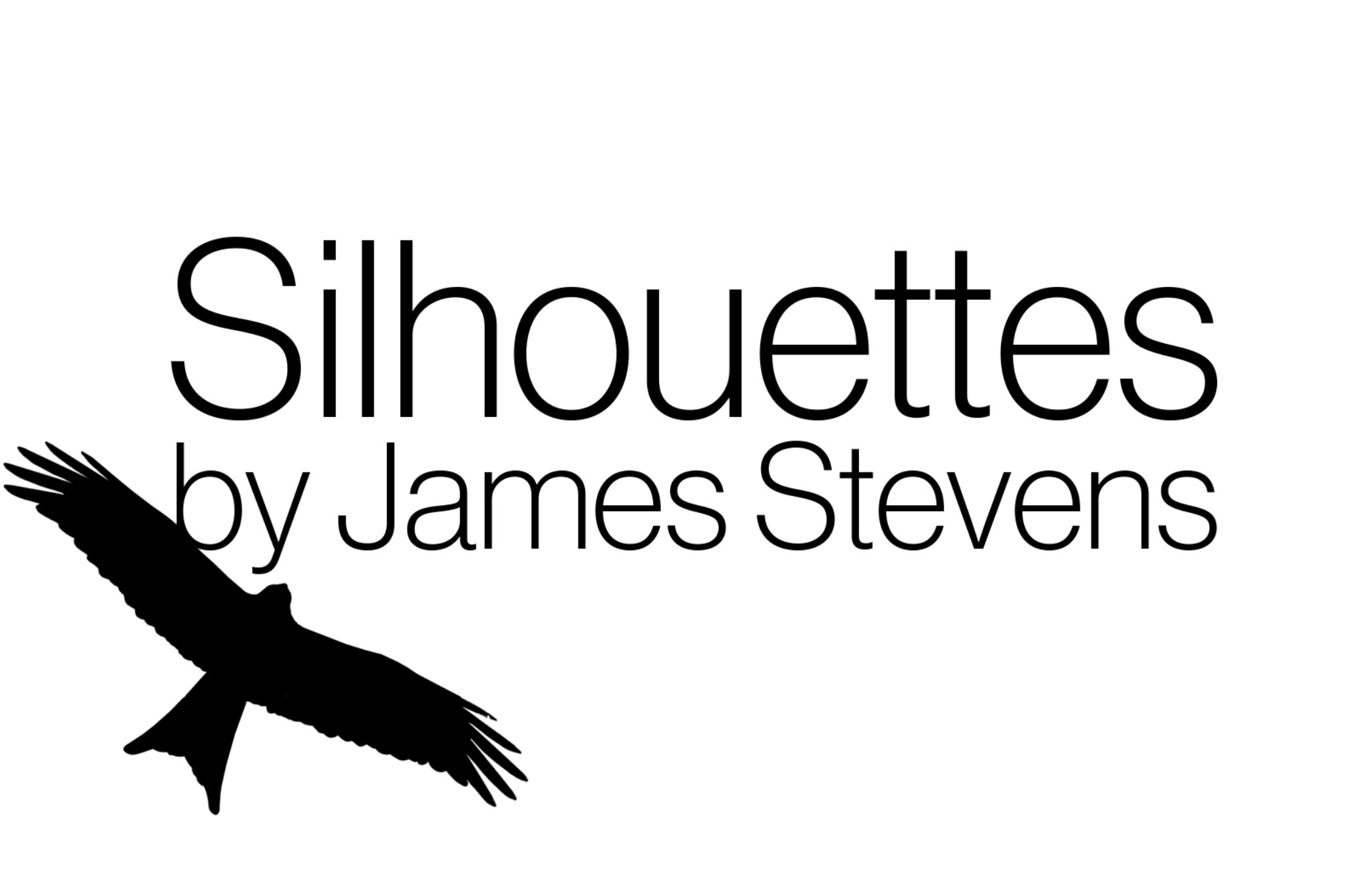 Silhouettes Clothing